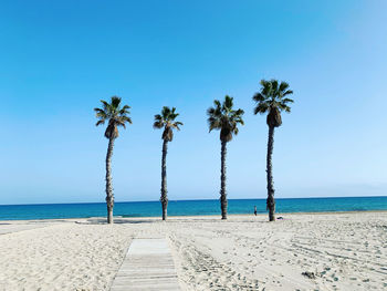 Palm trees on beach against clear blue sky