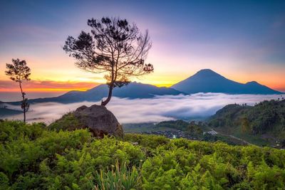 Scenic view of landscape against sky during sunset