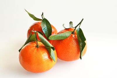 Close-up of orange fruit against white background