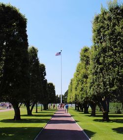 Street amidst trees against sky