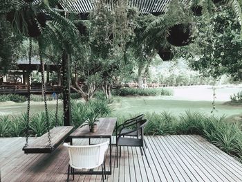 Empty chairs and table against trees