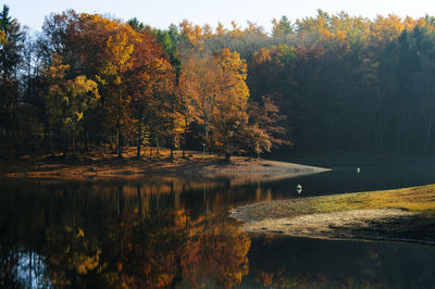 Scenic view of lake by trees during autumn