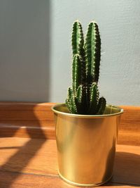 Close-up of potted plant on table