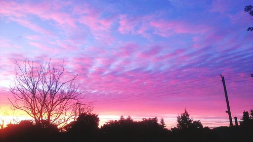 Low angle view of silhouette trees against dramatic sky