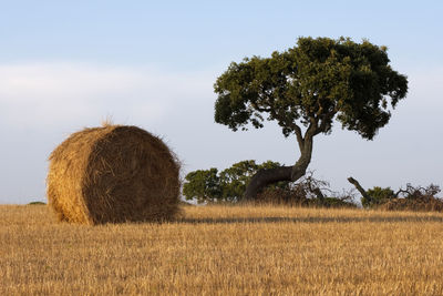 Hay bales on field against sky