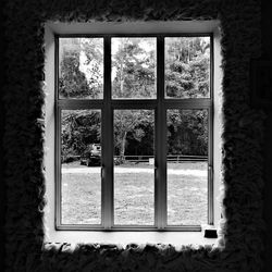 View of trees through window