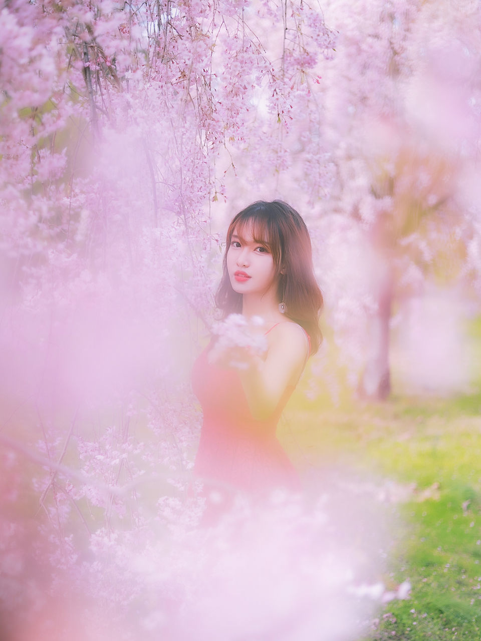 pink, one person, plant, women, nature, flower, flowering plant, young adult, beauty in nature, spring, tree, hairstyle, adult, fashion, springtime, blossom, portrait, long hair, clothing, freshness, pastel colored, dress, outdoors, selective focus, female, brown hair, ethereal, tranquility, grass, happiness, child, looking, smiling, fragility, contemplation, sunlight, fantasy, cherry blossom, standing, relaxation, emotion, summer, land, day, lifestyles, dreamlike, daydreaming, copy space, environment, elegance, innocence, cute, field, meadow