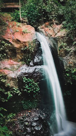 Waterfall in forest