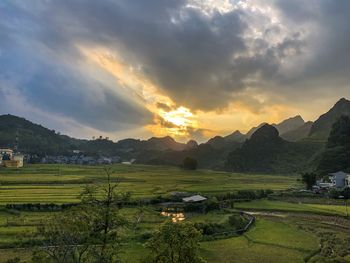 Scenic view of agricultural field against sky during sunset