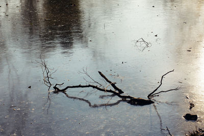 Close-up of water