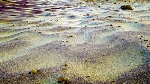 Full frame shot of wet sand