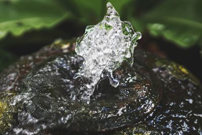 Close-up of water flowing on rock