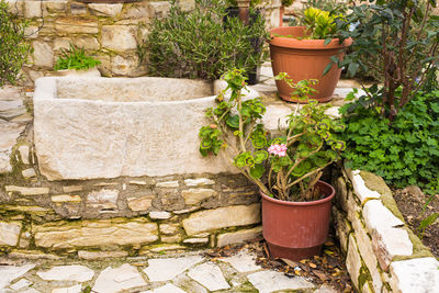 Potted plant against stone wall