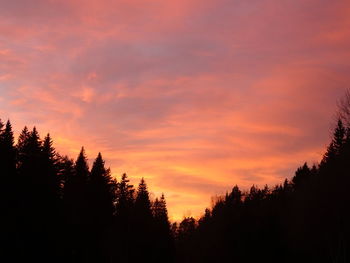 Silhouette trees against orange sky