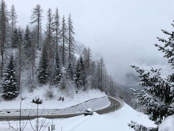 High angle view of snow covered trees against sky