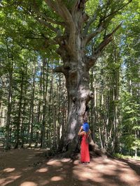 Rear view of woman standing in forest