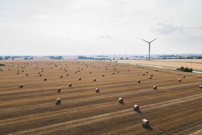 View of bales on field