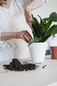 Woman doing plantation at table