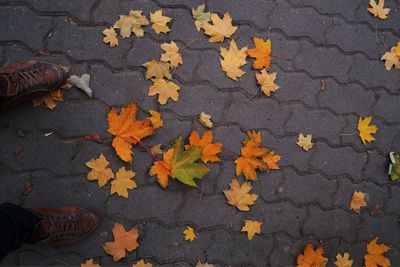 Autumnal leaves on sidewalk