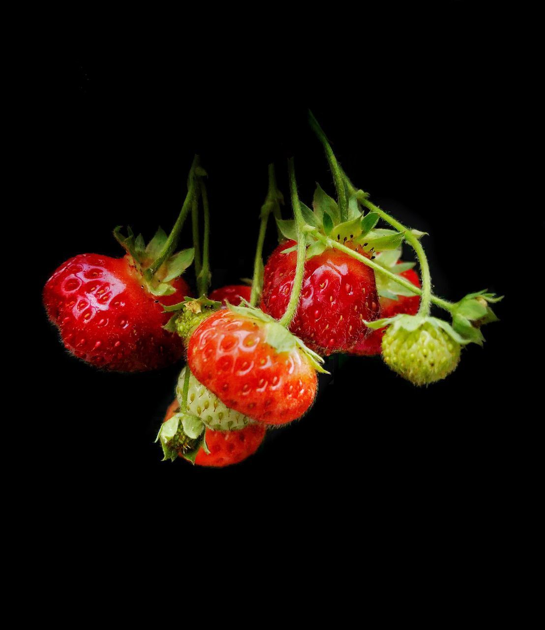 CLOSE-UP OF FRESH STRAWBERRIES