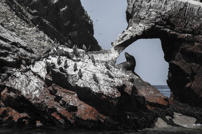 Low angle view of rock formation against sky