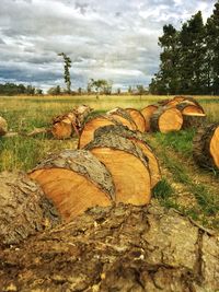 Trees on field against cloudy sky