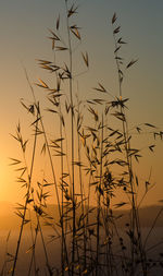 Scenic view of sunset sky