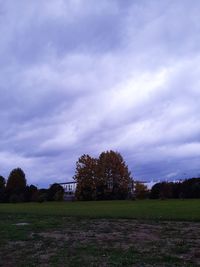 Trees on field against sky