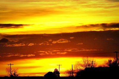 Silhouette of tree against dramatic sky