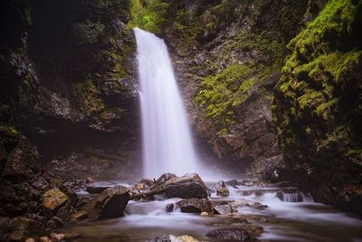 Scenic view of waterfall in forest