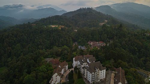 Aerial view of greenery highland with apartments in fraser's hill, pahang, malaysia.