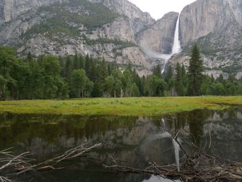 Scenic view of lake in forest