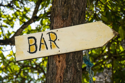 Close-up of sign on tree trunk