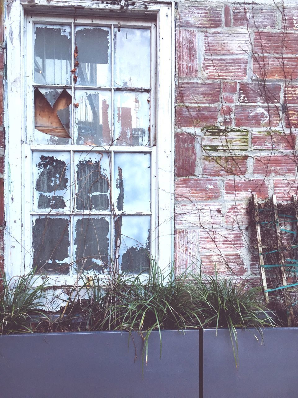 LOW SECTION OF WOMAN ON WINDOW