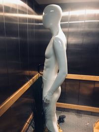 View of mannequin in elevator