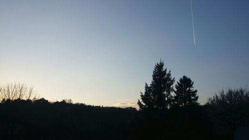 Silhouette of trees at sunset