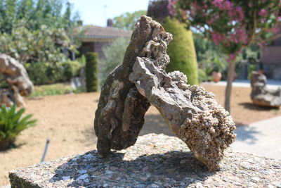 Close-up of statue in park