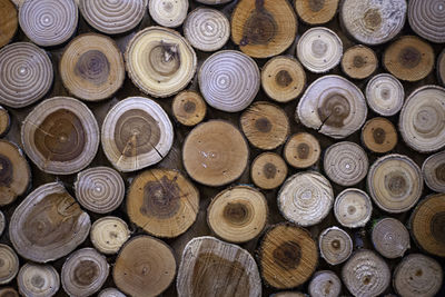 Saws of different species of wood. background from logs sawn and assembled together. 