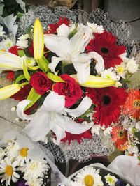 High angle view of various flowers on plant