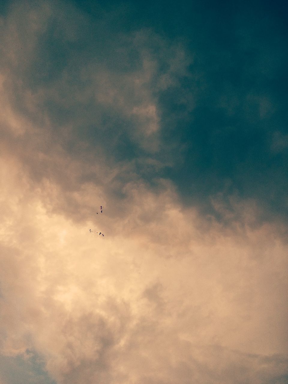 flying, cloud - sky, sky, bird, mid-air, low angle view, animal themes, animals in the wild, beauty in nature, nature, sunset, outdoors, scenics, no people, silhouette, one animal, sky only, animal wildlife, spread wings, day