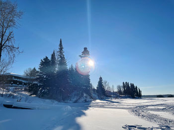 Snow covered land and trees against sky