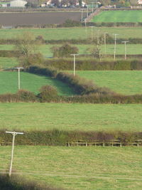 Scenic view of field