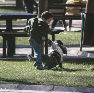 Boy playing with dog