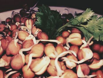 Close-up of vegetables