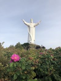 Low angle view of statue by flowering plant against sky
