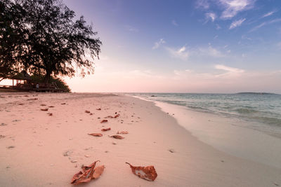 Scenic view of beach against sky during sunset