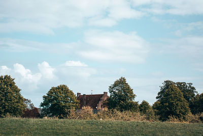 Trees growing on field against sky