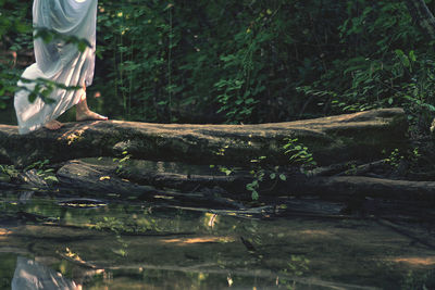 Low section of people on log in forest