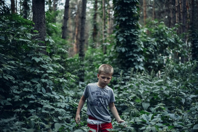 Boy standing by plants in forest