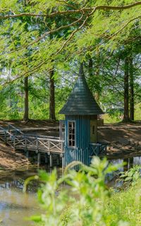 Plants and trees by building in forest